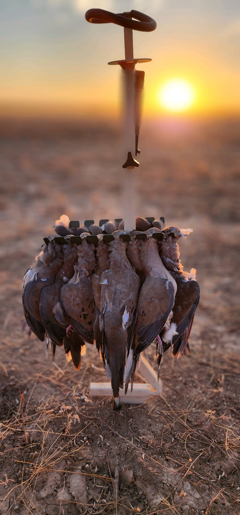 Dove Caddy