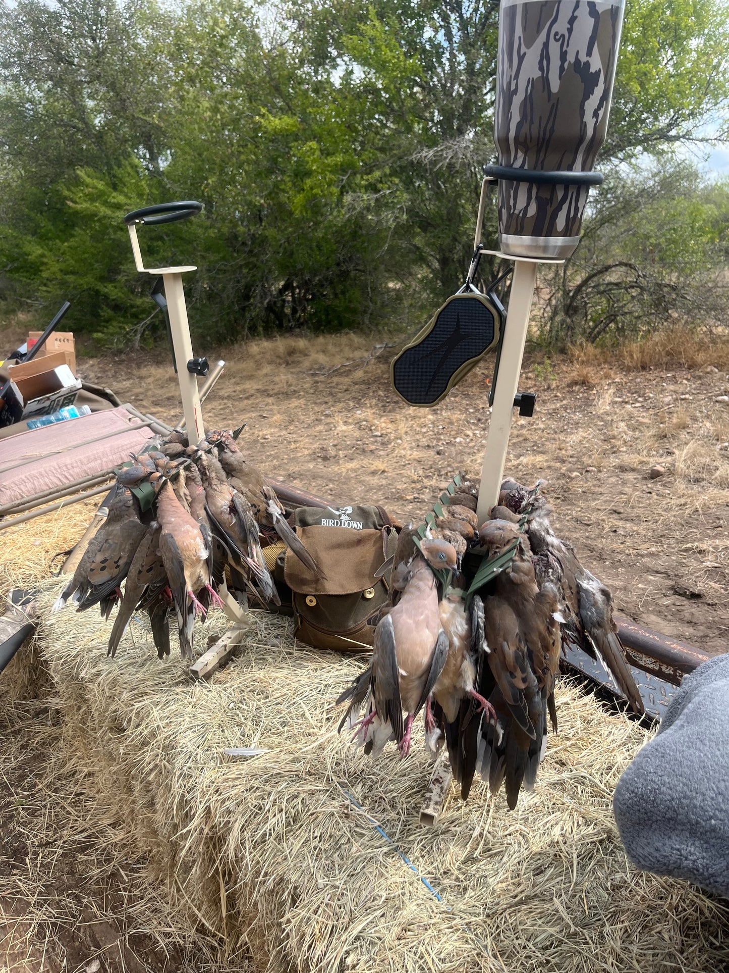 Dove Caddy